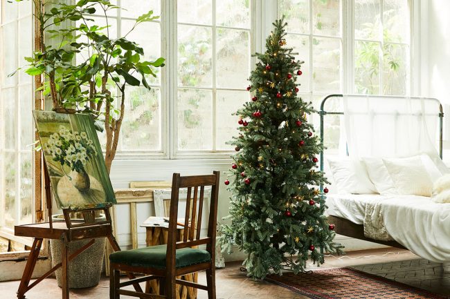 クリスマスツリーをどうぞ。